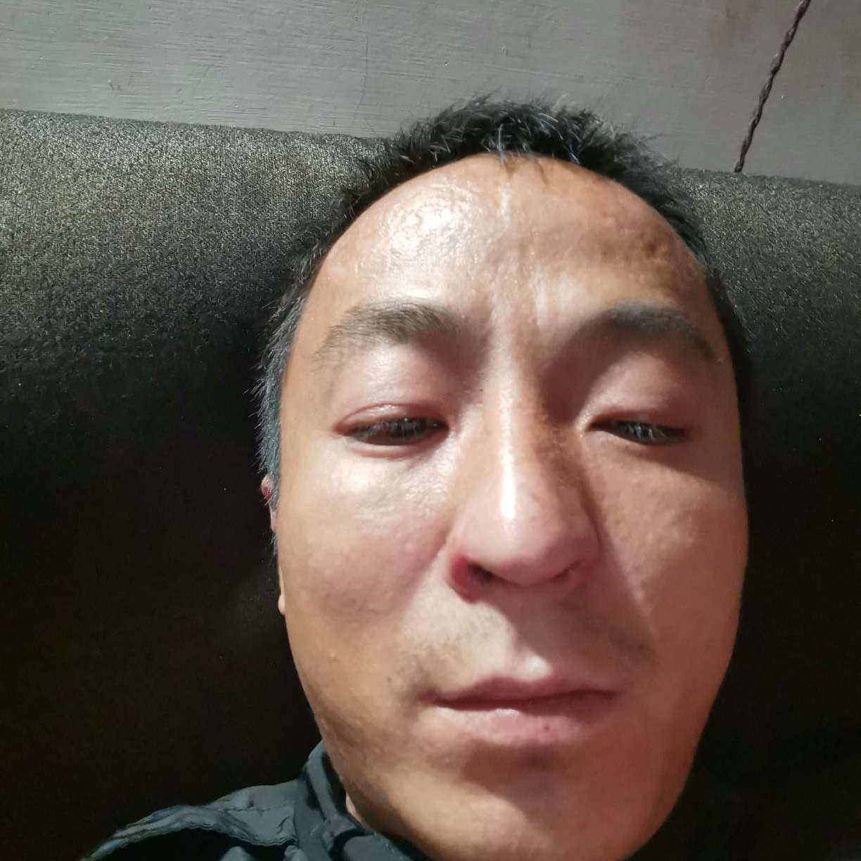 向日葵保卫大胆的照片