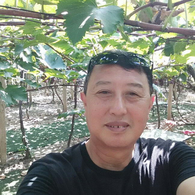 满意鱼的照片