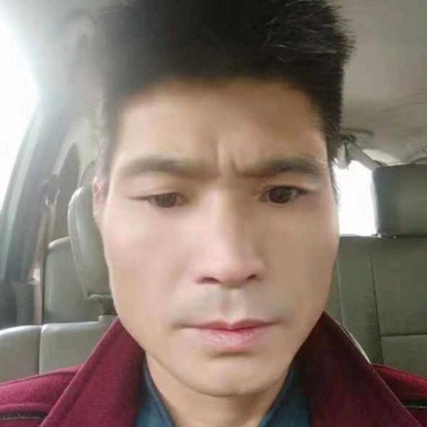鲤鱼等于航空的照片