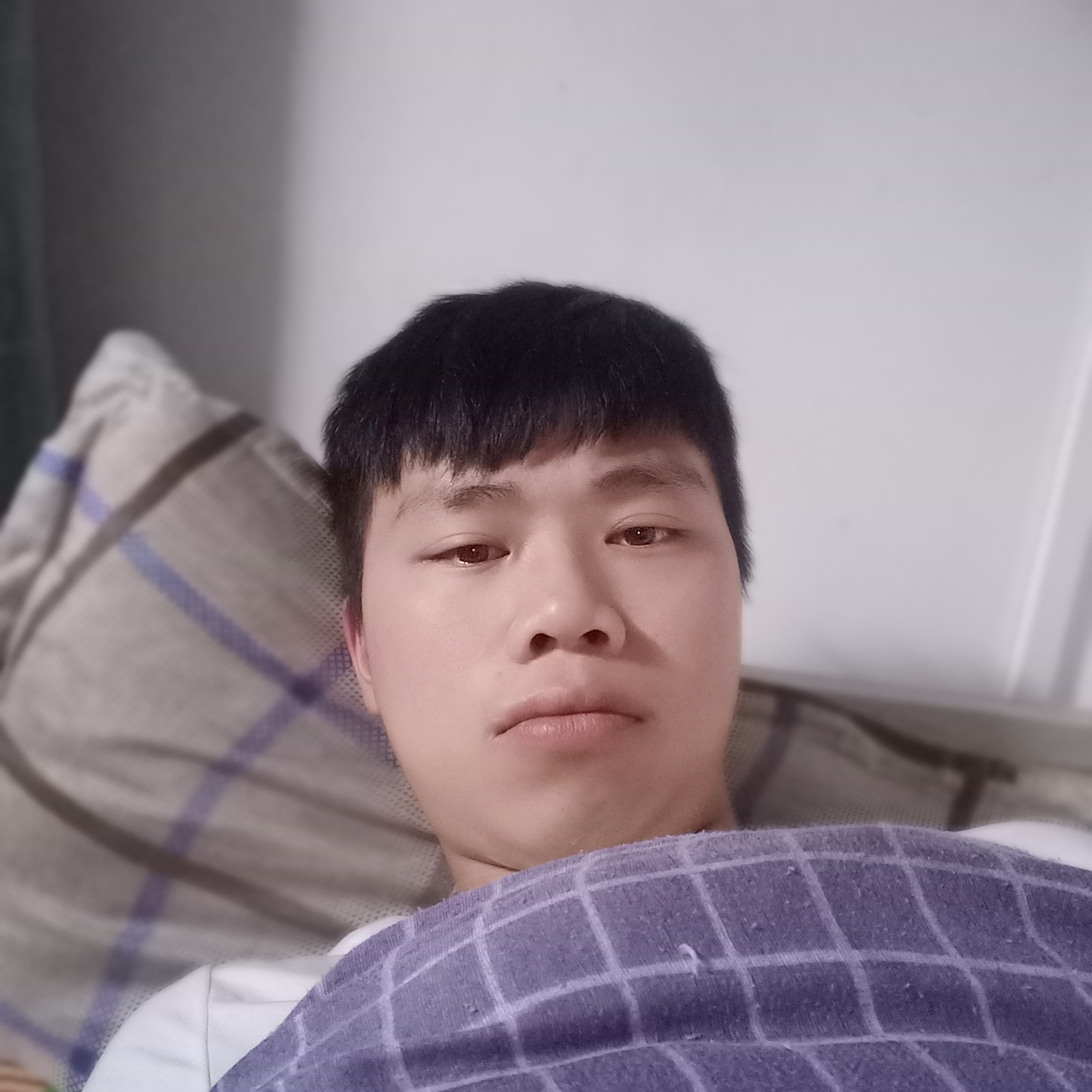勤恳泪了玫瑰的照片
