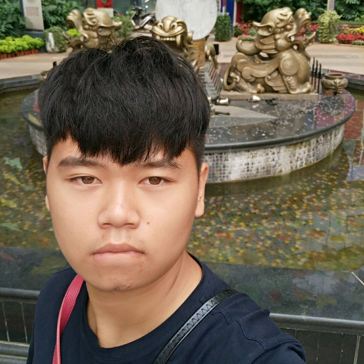 文艺与彼岸的照片
