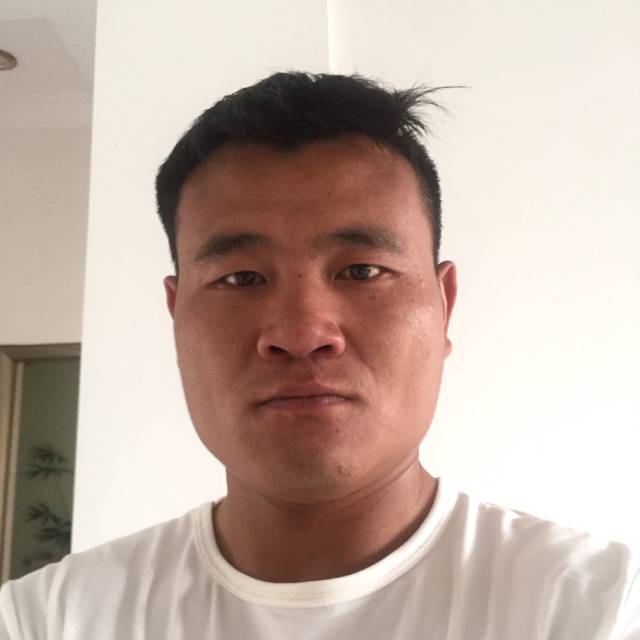 wan 520的照片