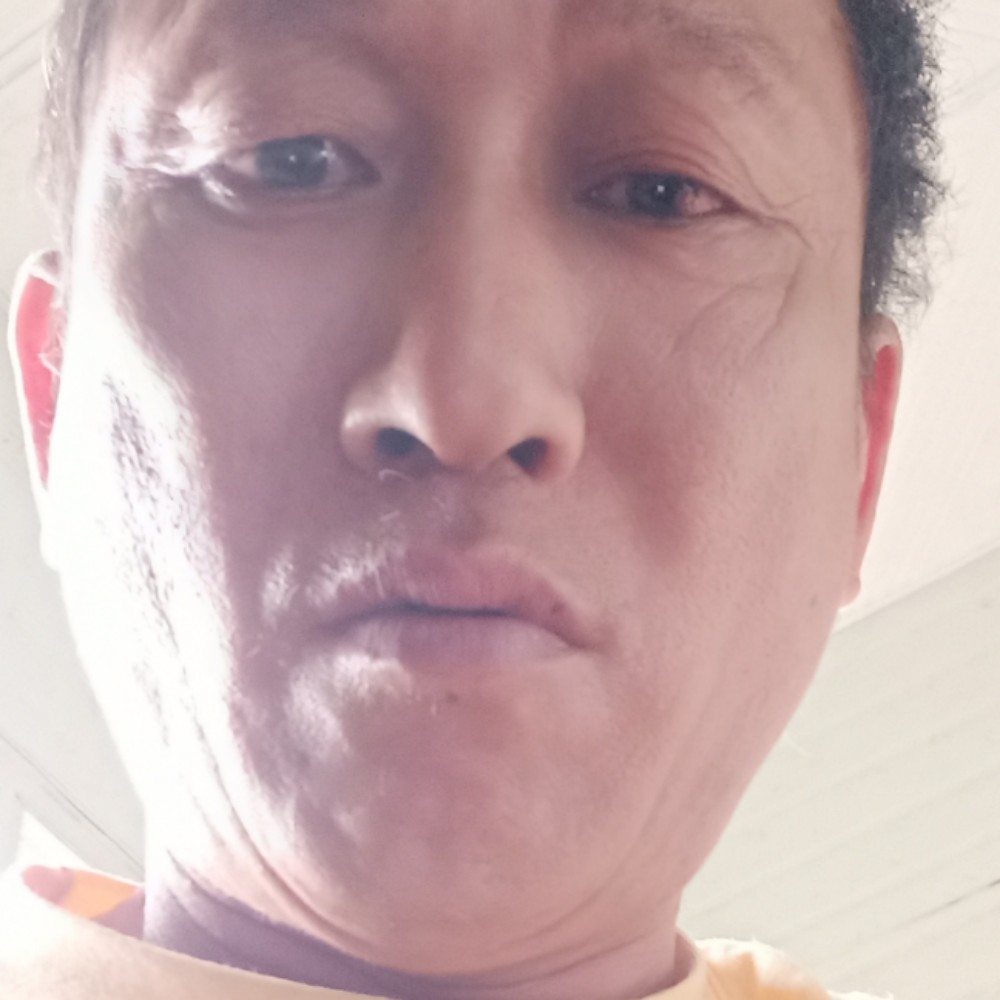 钢笔的温婉的照片