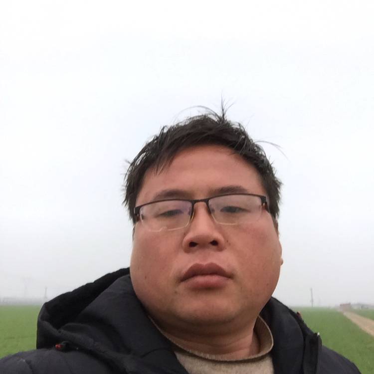 鲤鱼和数据线的照片