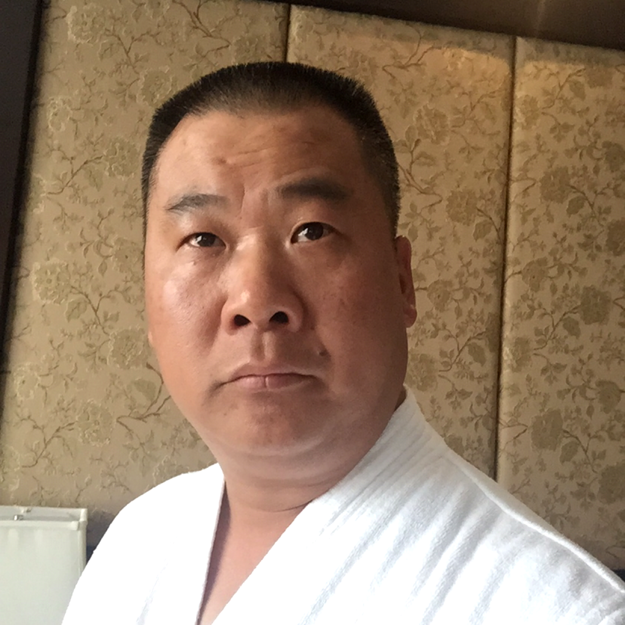 西南牦牛的照片