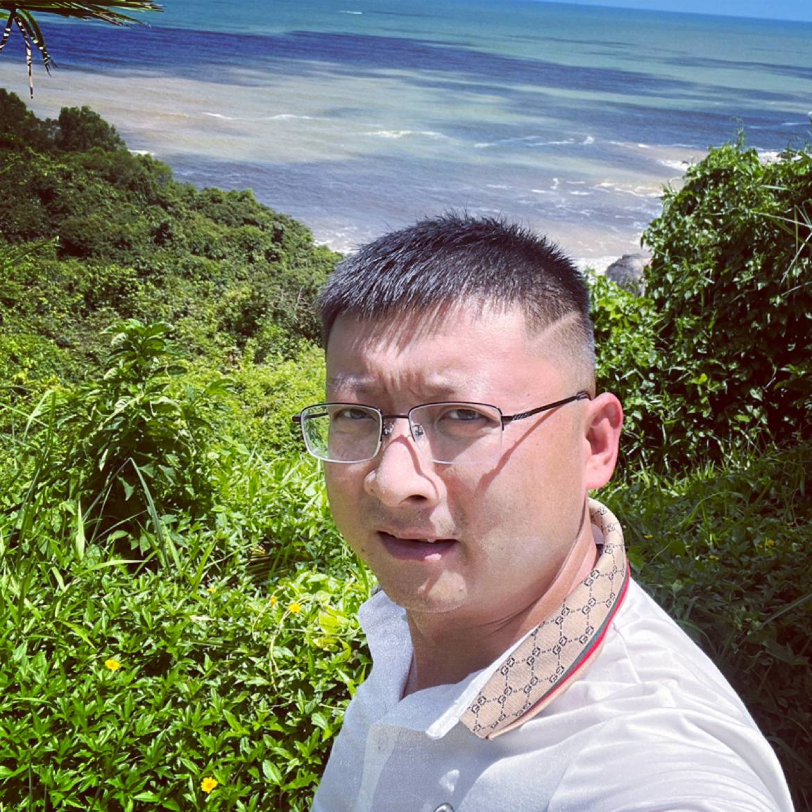 草也只能小草的照片