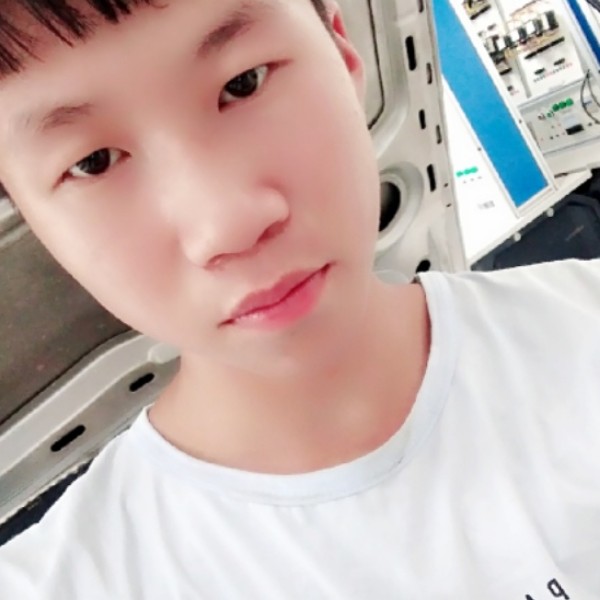 优雅还小天鹅的照片