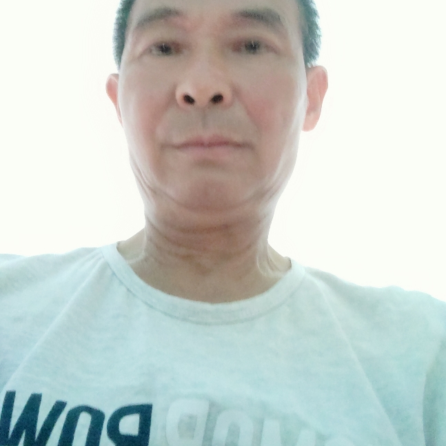 合适拾忆黄蜂的照片