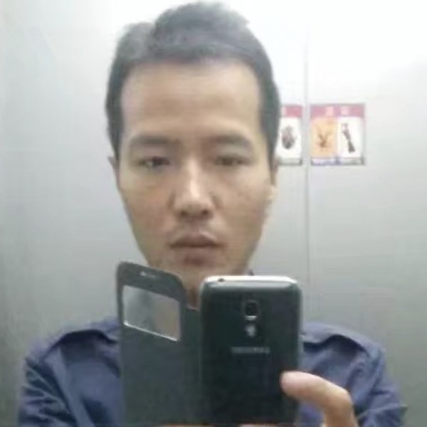 平常灰狼的照片