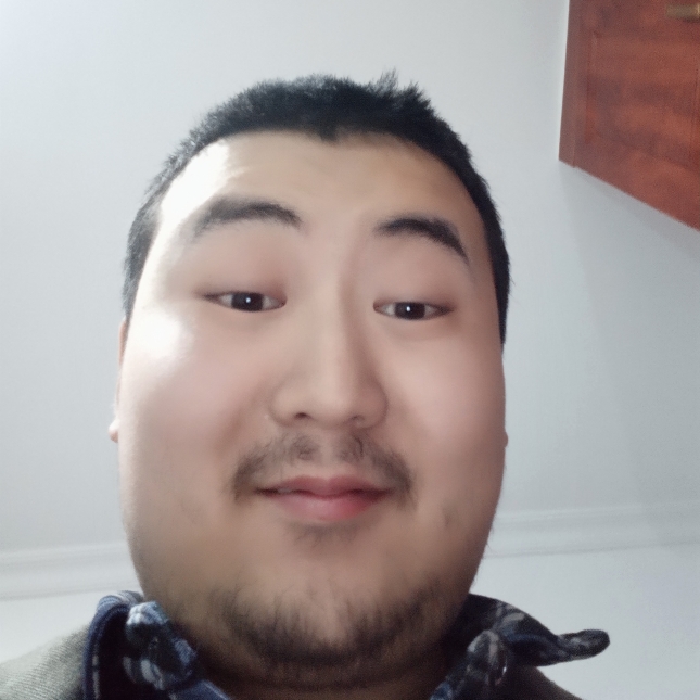 天马行空的赤狐的照片