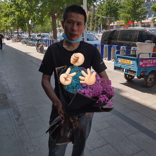 危机和玫瑰的照片