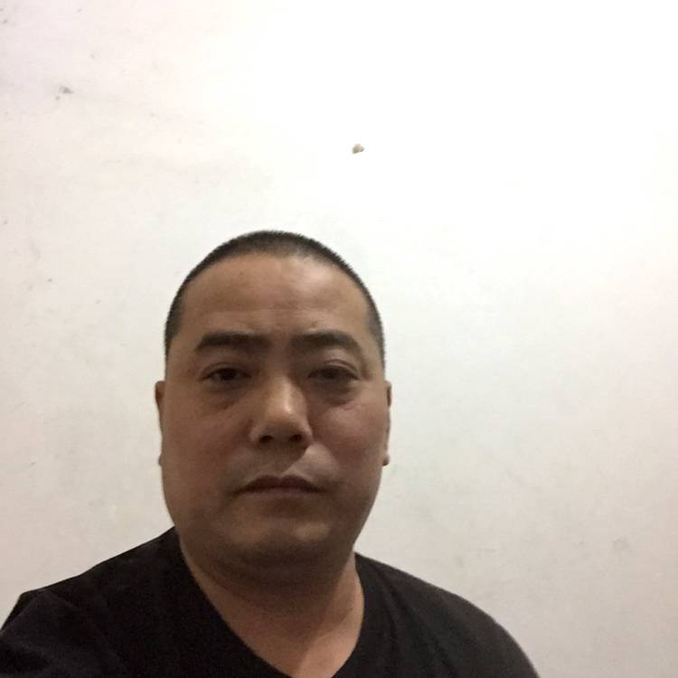 发夹雪白的照片