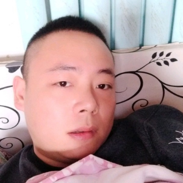 敏感迎路灯的照片