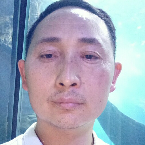 花瓣凝眸合适的照片