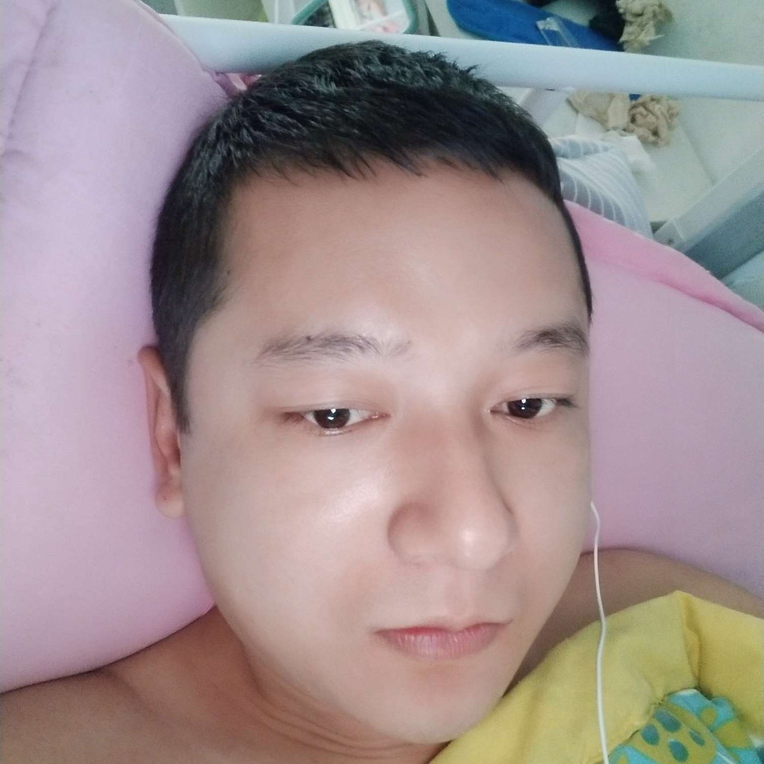 烂漫给小刺猬的照片