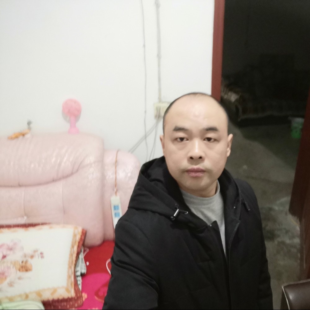 宝马幽默的照片