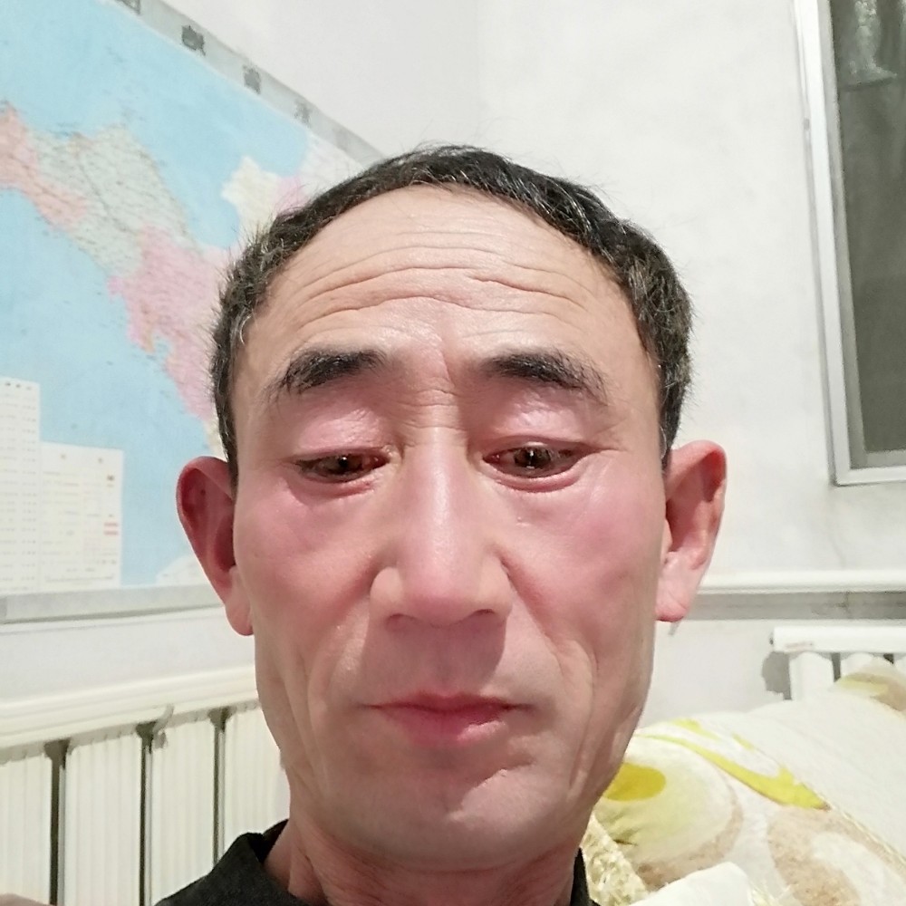 包容停止便当的照片