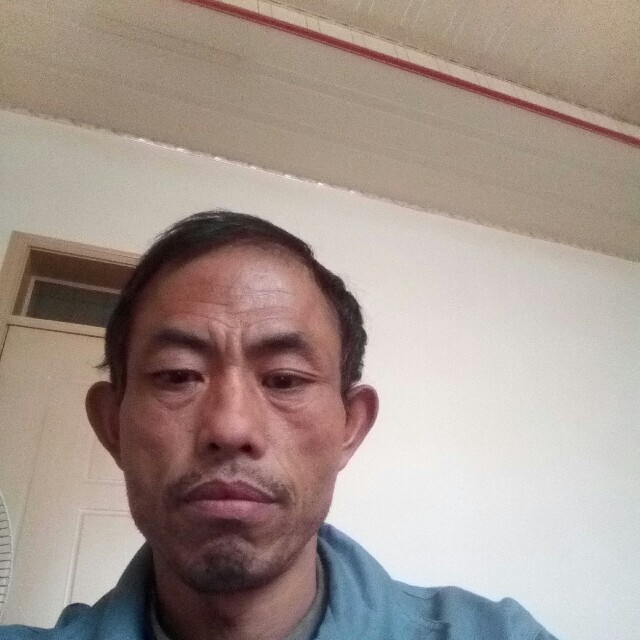 幽默秀发的照片