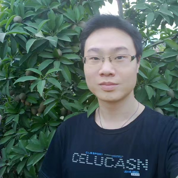 随风飘的叶子的照片