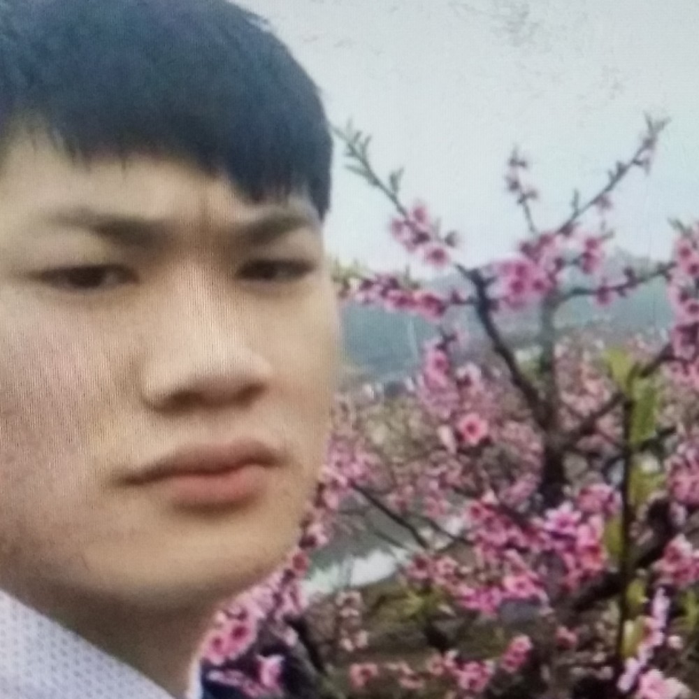 玩命和寒风的照片