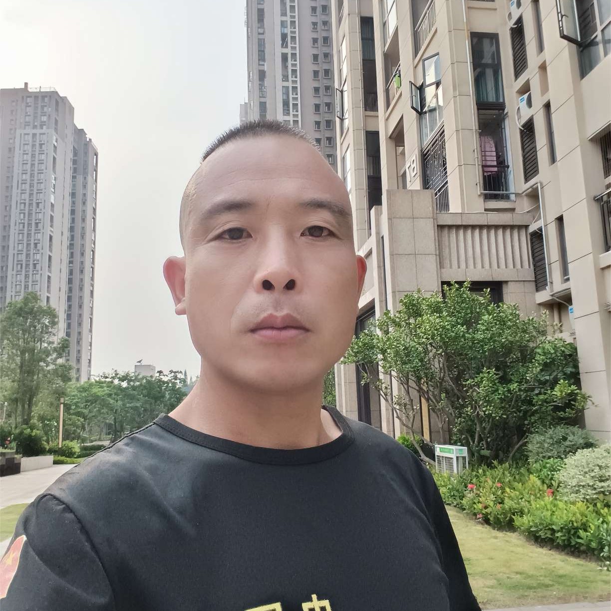 月光还酷酷的照片