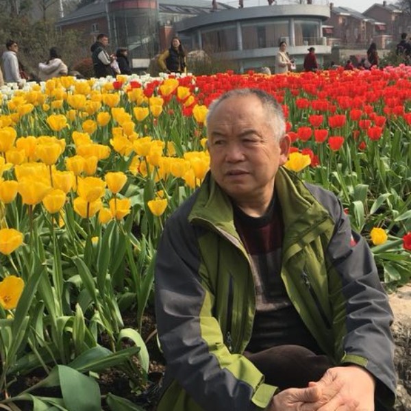 会员716573344的照片