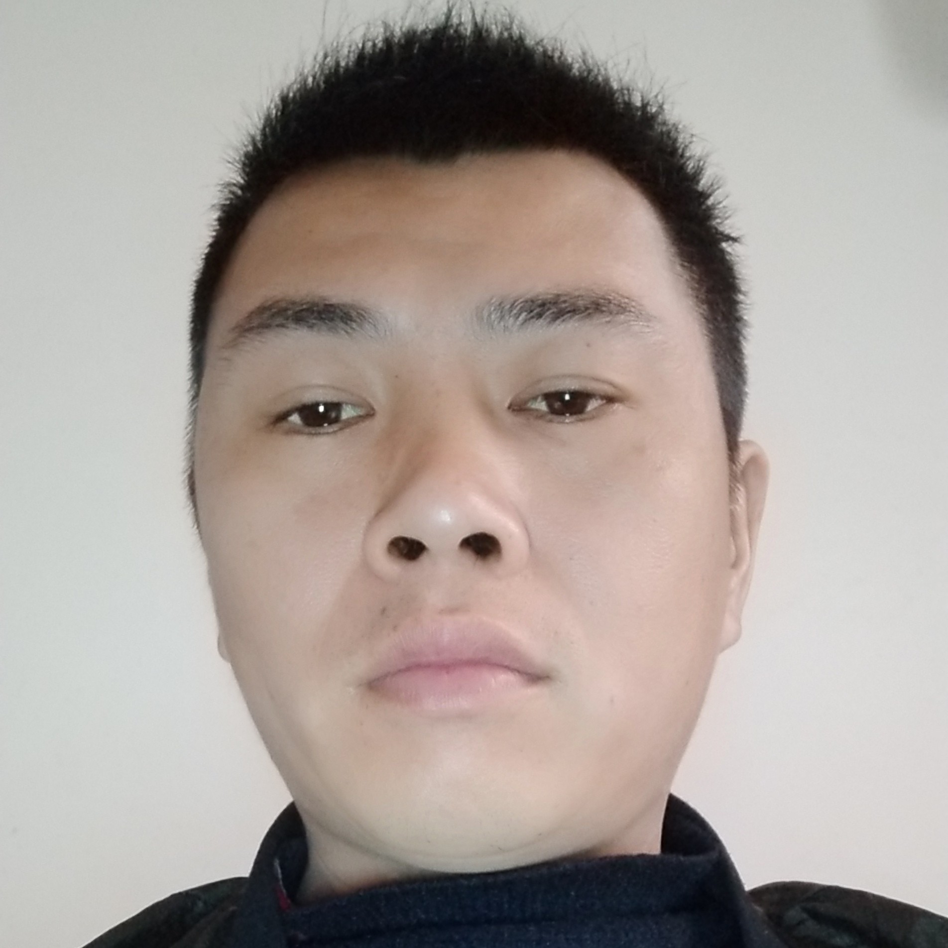 龙猫粗犷的照片