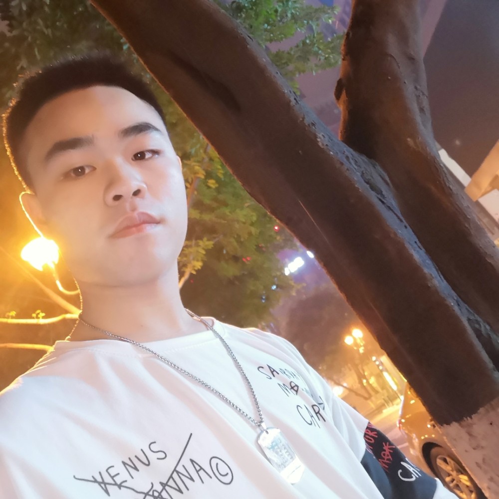 陈枫落叶随风的照片