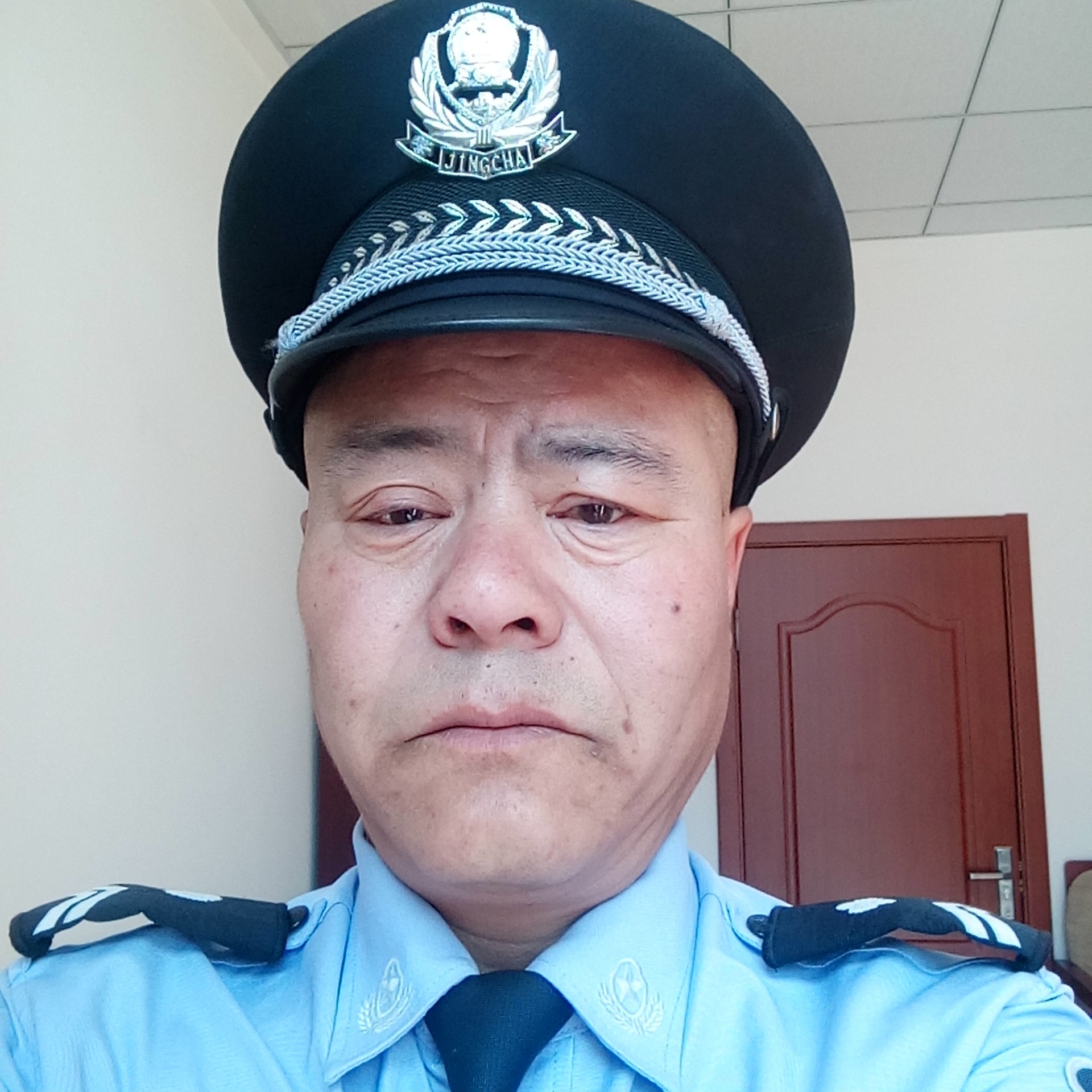小猫咪完美的照片