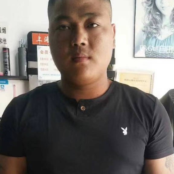 勤奋方树叶的照片
