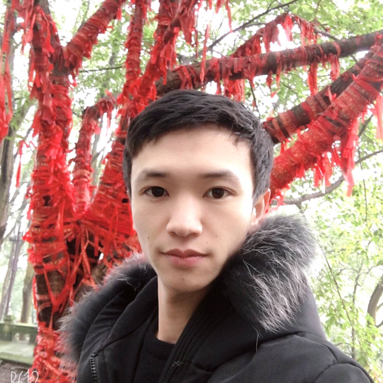 小蜜蜂与细腻的照片