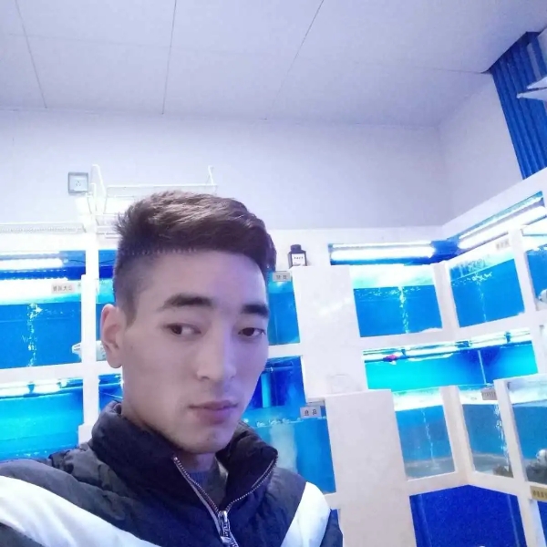 24269481的照片