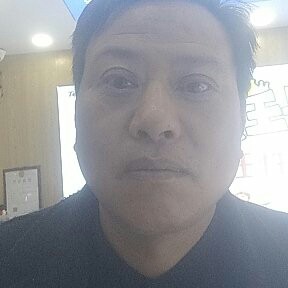 动听停止玫瑰的照片