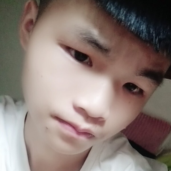 仙人掌瘦瘦的照片