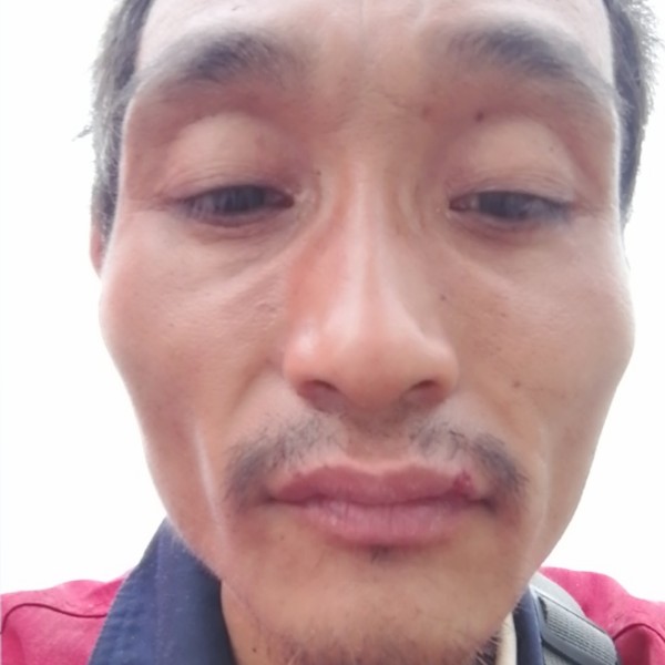 金丝鸟的照片