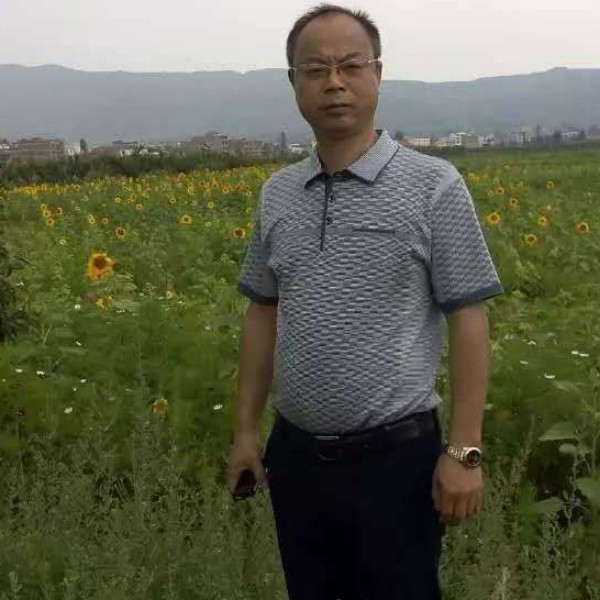 寒风回眸的照片