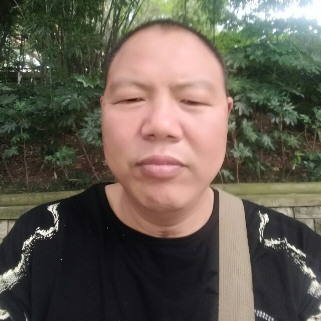 画板幽默的照片