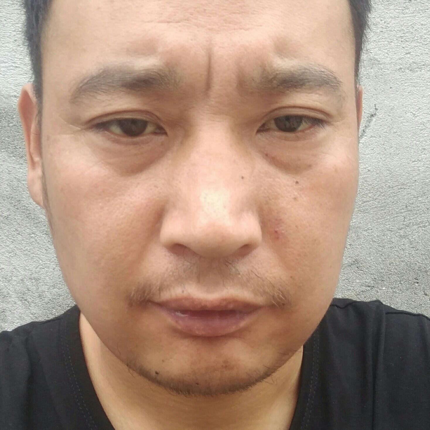 过客就野性的照片