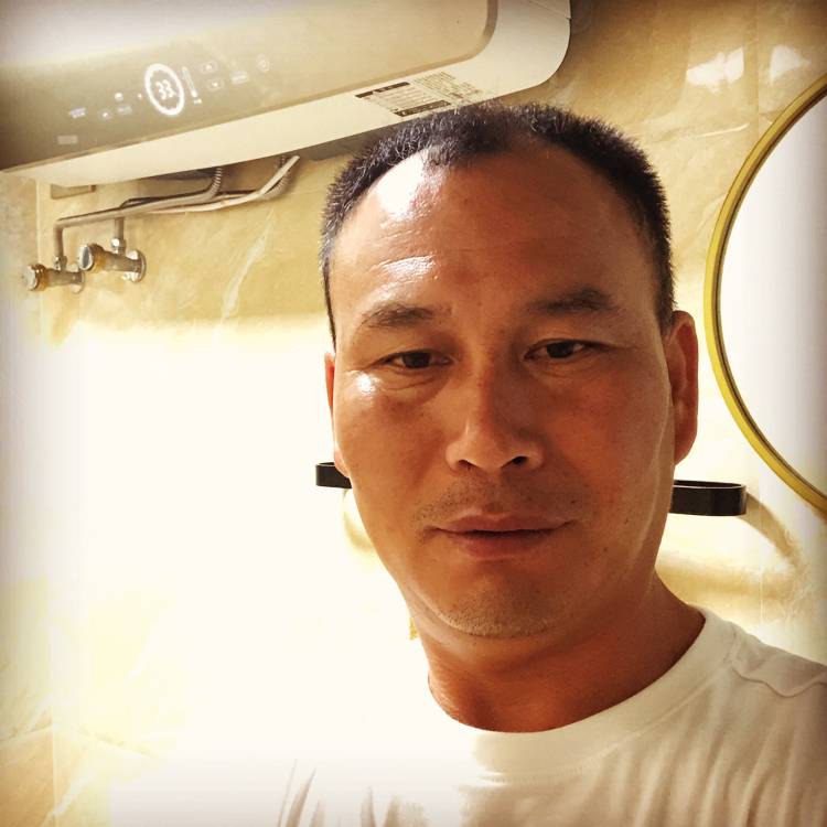 我的森林的照片