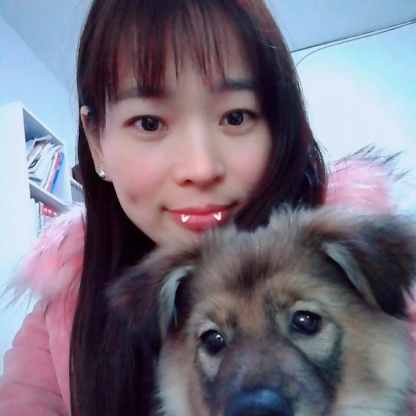 桥雨叶的照片