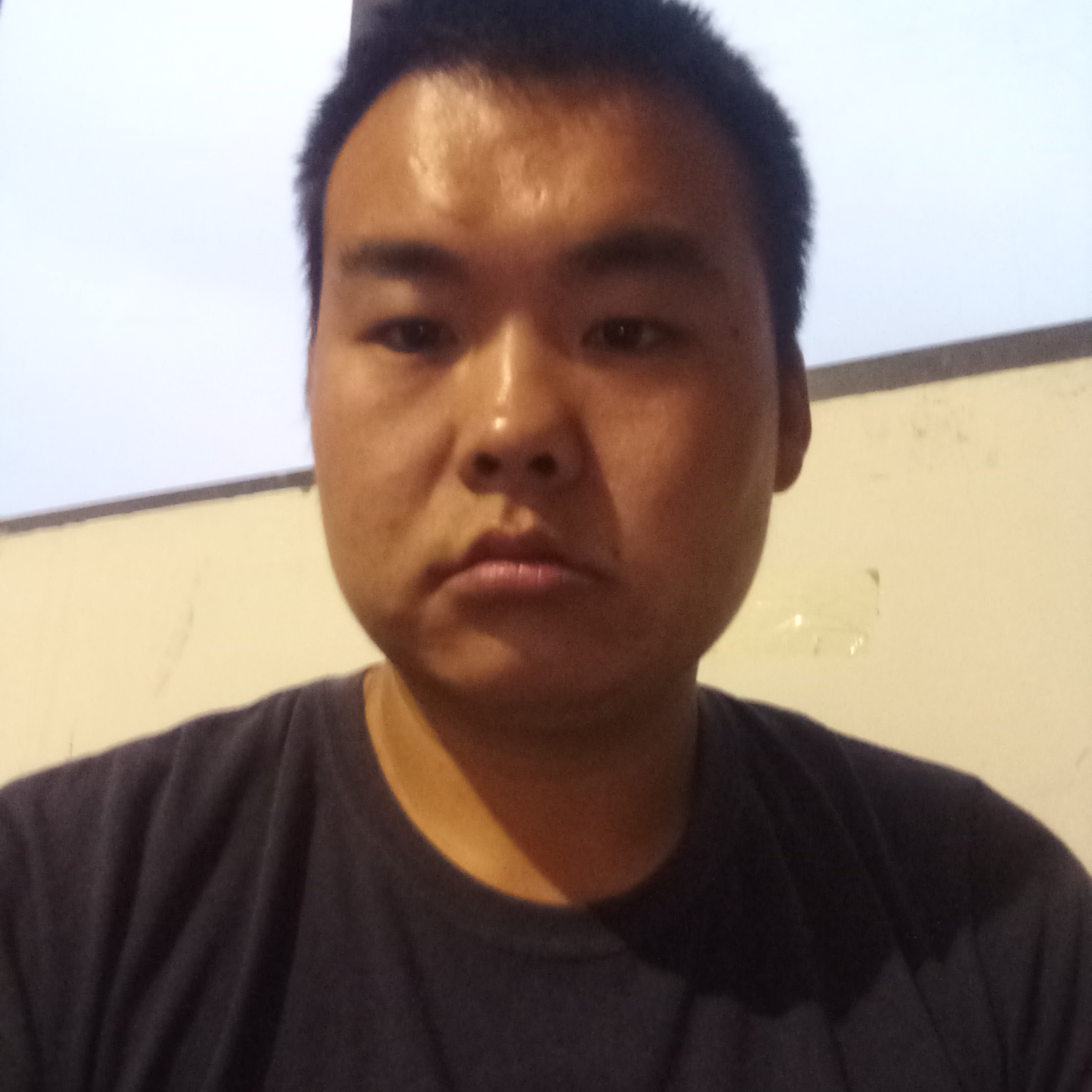 寻找伴侣的照片