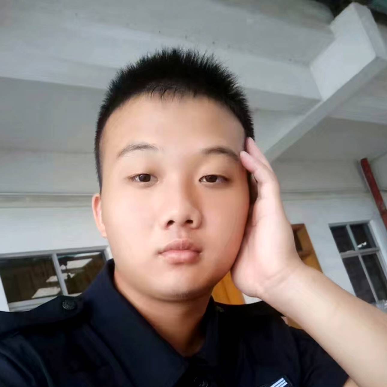 freeloop的照片