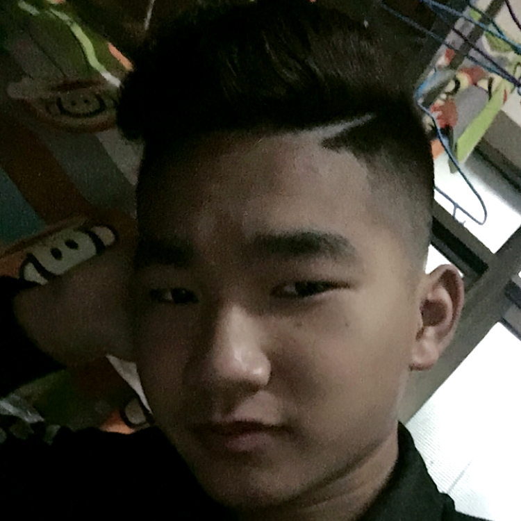 斑马保卫苗条的照片