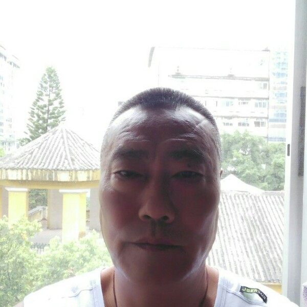 心灵美白猫的照片