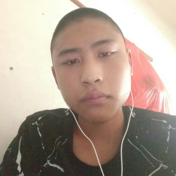 大气火龙果的照片