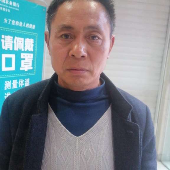 踏实凝眸大树的照片