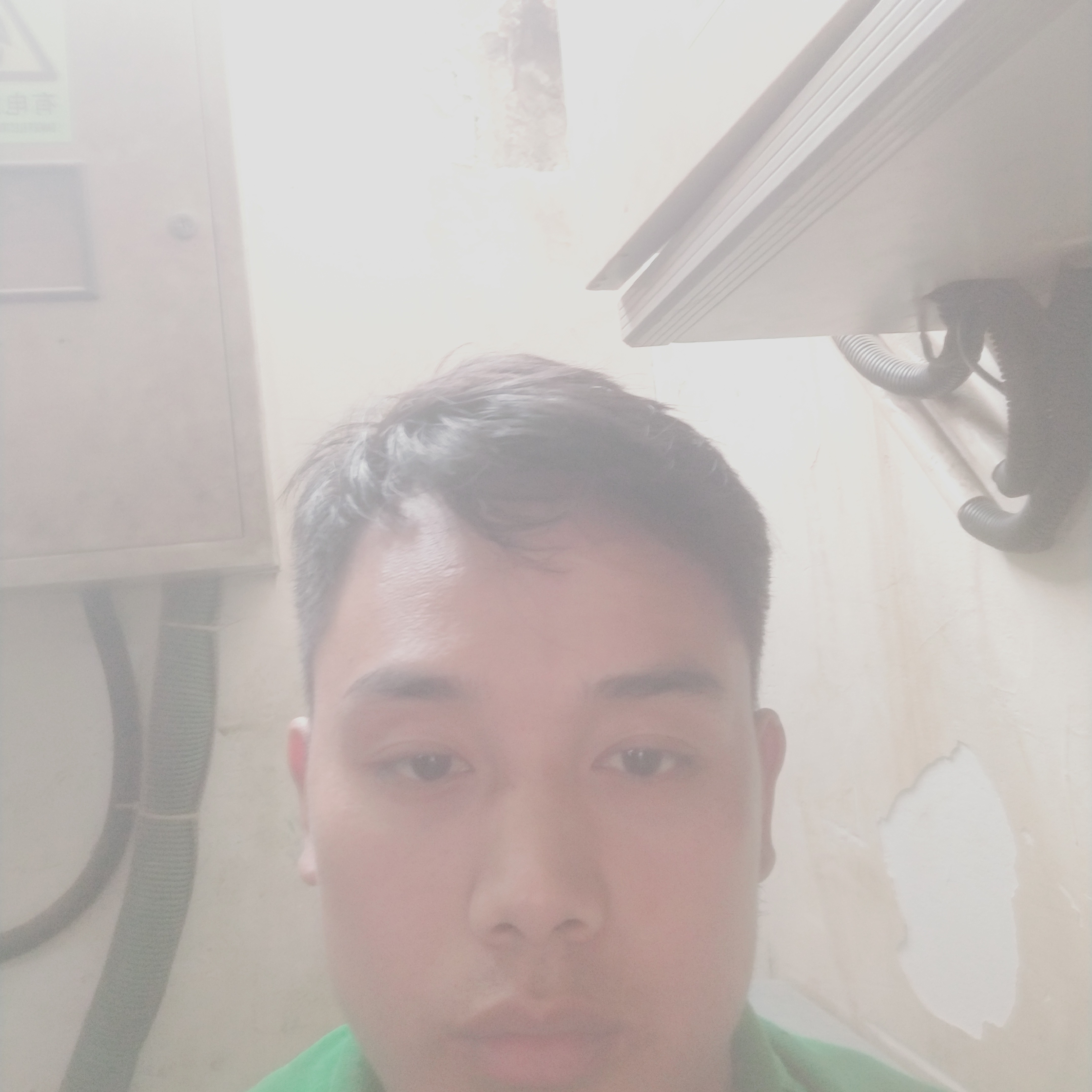 虚拟春的照片