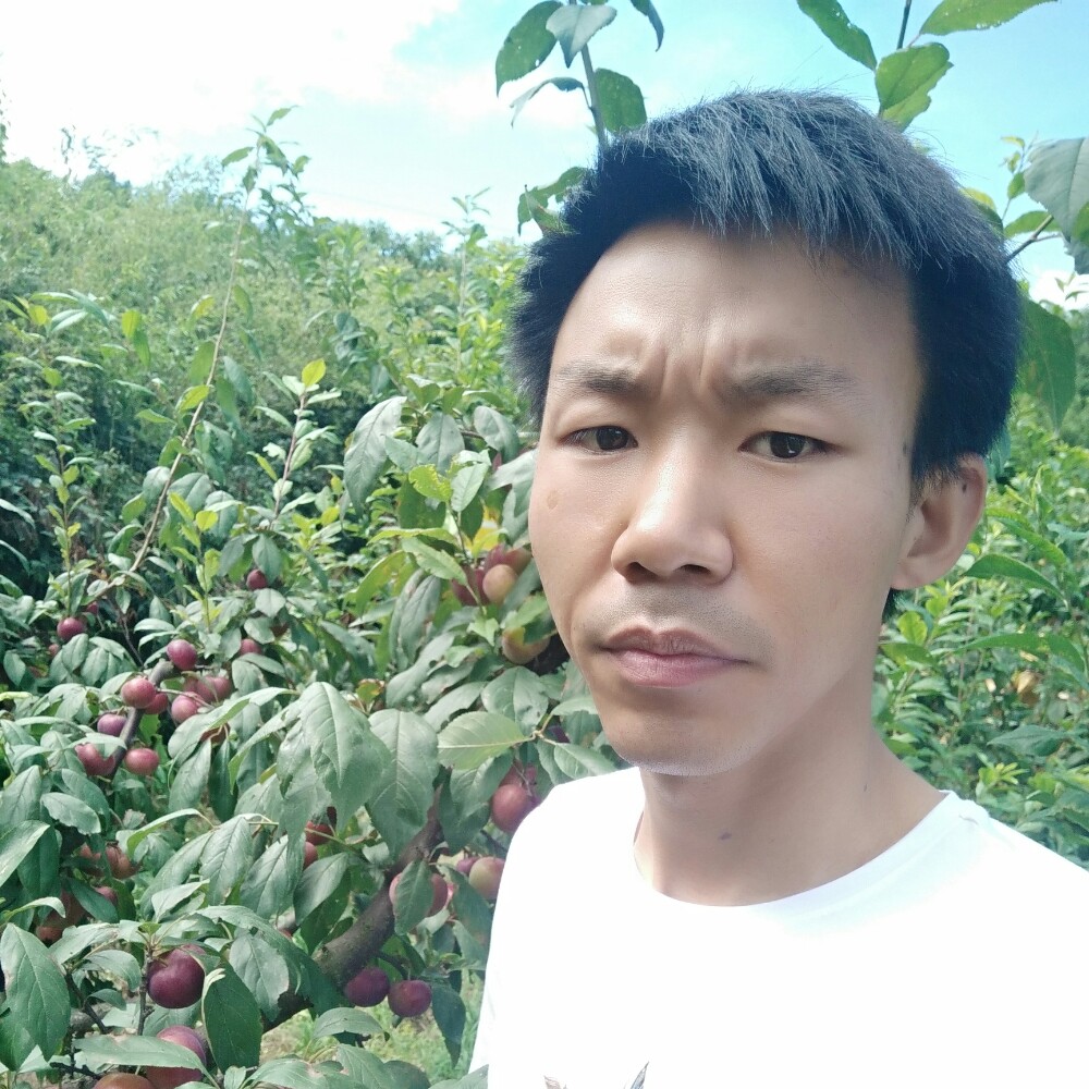 愤怒星愿的照片