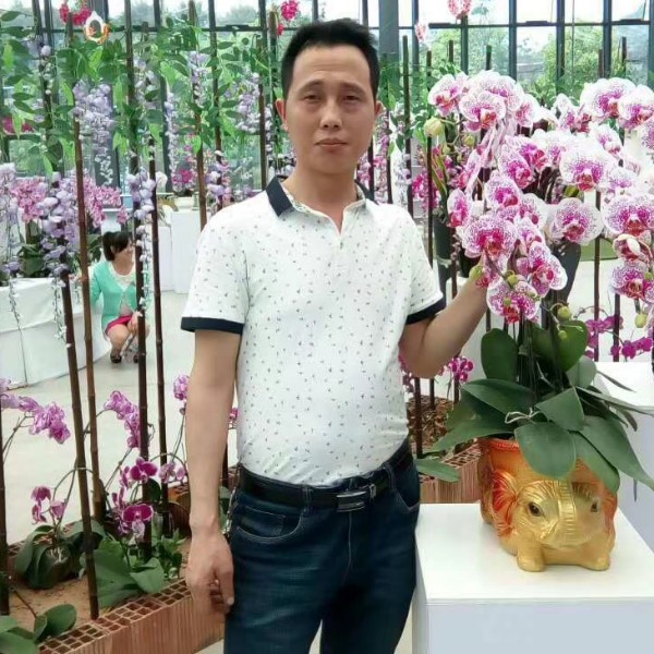 矜柔谨慎的照片