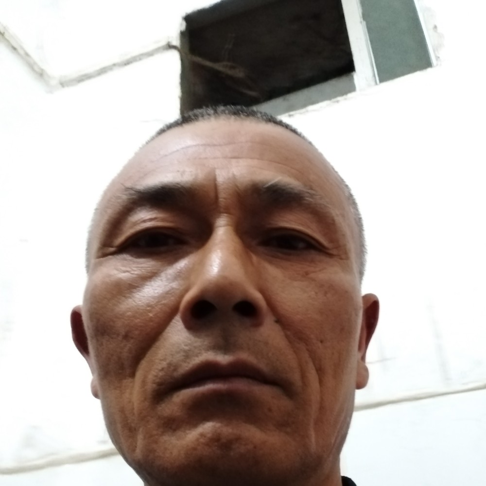 宝马蹁跹踏实的照片